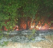 INCENDIO ARPINO, FIAMME VICINO AL CIMITERO. GRAZIE AL LAVORO SINERGICO SCONGIURATO RISCHIO 