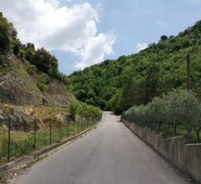 ARPINO – “Non si può che essere soddisfatti di fronte ad opere pubbliche utili” - così Gianluca Quadrini commenta con entusiasmo l’approvazione dei lavori di ampliamento e urbanizzazione di via Moncisterna.