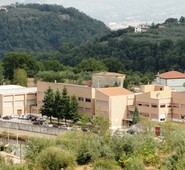 ARPINO. QUADRINI SI CONGRATULA CON GLI STUDENTI DELL’ITIS ‘PARRAVANO’ PER L’OTTIMO RISULTATO ALLE OLIMPIADI DELLA CHIMICA.