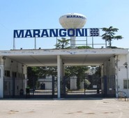 ANAGNI, MARANGONI. LICENZIAMENTI IN VISTA. QUADRINI: ”AZIENDA DIA ALTERNATIVA”