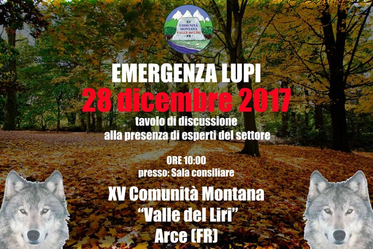 EMERGENZA LUPI, GIOVEDI TAVOLO DI DISCUSSIONE CON ESPERTI DEL SETTORE PRESSO LA XV COMUNITA’ MONTANA.