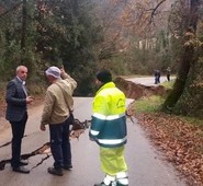 Al via a marzo i lavori sistemazione della frana sulla SP Santi Cosma e Damiano. Ad avviare l’iter l’allora consigliere provinciale Rotondo.