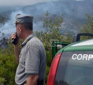 SOPPRESSIONE GUARDIA FORESTALE, PROVINCE E COMUNITA' MONTANE. QUADRINI: GRAVI ERRORI