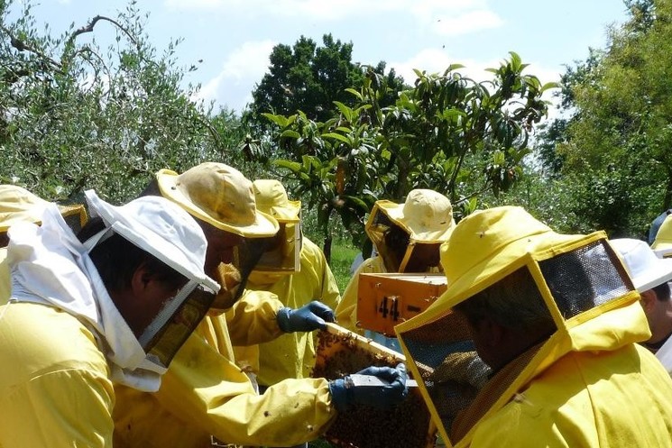 XV Comunità Montana, Corso avviamento Apicoltura. Ultimi posti disponibili per iscriversi. QUADRINI:”PROMUOVERE LO SVILUPPO DI QUESTA ATTIVITA’SIGNIFICA OFFRIRE CRESCITA PER IL TERRITORIO”.