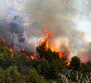 ALATRI, IMPOSSIBILITA’ A RIENTRARE NEL PSR, IN QUANTO CATALOGATO A BASSO RISCHIO. QUADRINI:”FATTO GRAVE ALLA LUCE DELL’EMERGENZA INCENDI CHE STA COLPENDO IL TERRITORIO” 