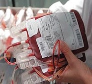 CASSINO, SANITA’. TRASFUSIONALE A DOMICILIO NEL CAOS: MANCA PERSONALE. QUADRINI: “ASSURDO PER UN SERVIZIO CHE CORRISPONDE AD UN SALVAVITA PER MOLTI"
