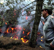 COMUNITA’ MONTANE, PROVINCE, CORPO FORESTALE. QUADRINI: “TAGLI INUTILI E CONTROPRODUCENTI PER LA CITTADINANZA, CHE NON HANNO PORTATO NESSUN RISPARMIO. ANZI..