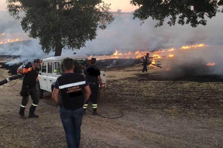XV COMUNITA’ MONTANA: LE GUARDIE FORESTALI AMBIENTALI. PER L’ASSESSORE D’ORSI IL CORPO SOPPERISCE A QUEL CONTROLLO CAPILLARE VENUTO MENO SEPPUR INDISPENSABILE AI TERRITORI MONTANI.
