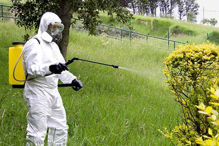 Arce, Prodotti fitosanitari. In arrivo un corso per conseguire certificato e rinnovo abilitazione, organizzato da ente montano in collaborazione con Fondazione Cicerone.