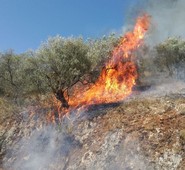 GRAVE INCENDIO A FONTANA LIRI. IMPEGNATA ANCHE LA XV COMUNITA’ MONTANA.